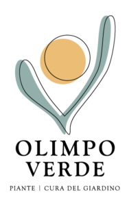 olimpo verde logo